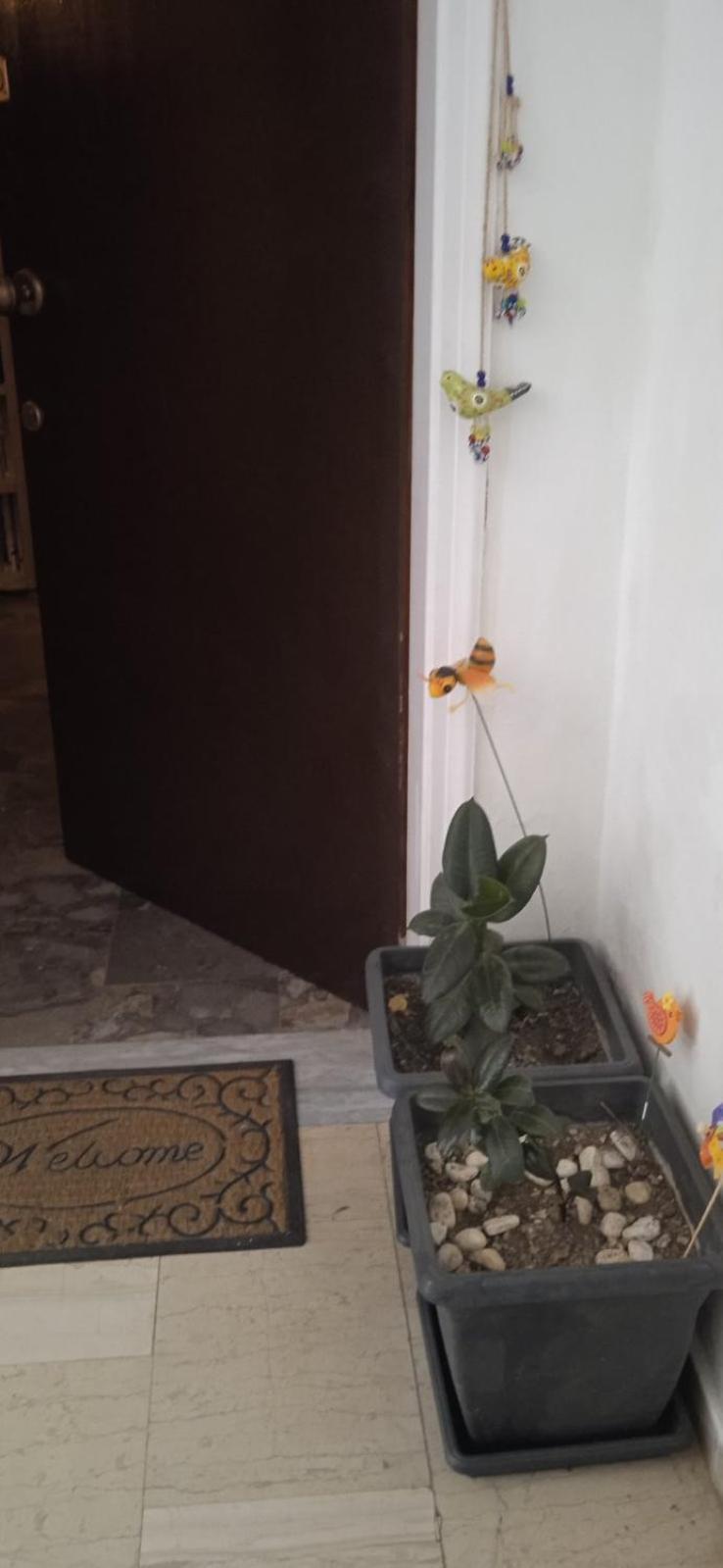 Campelina Home, 2Bd Near Corfu Town Exteriör bild